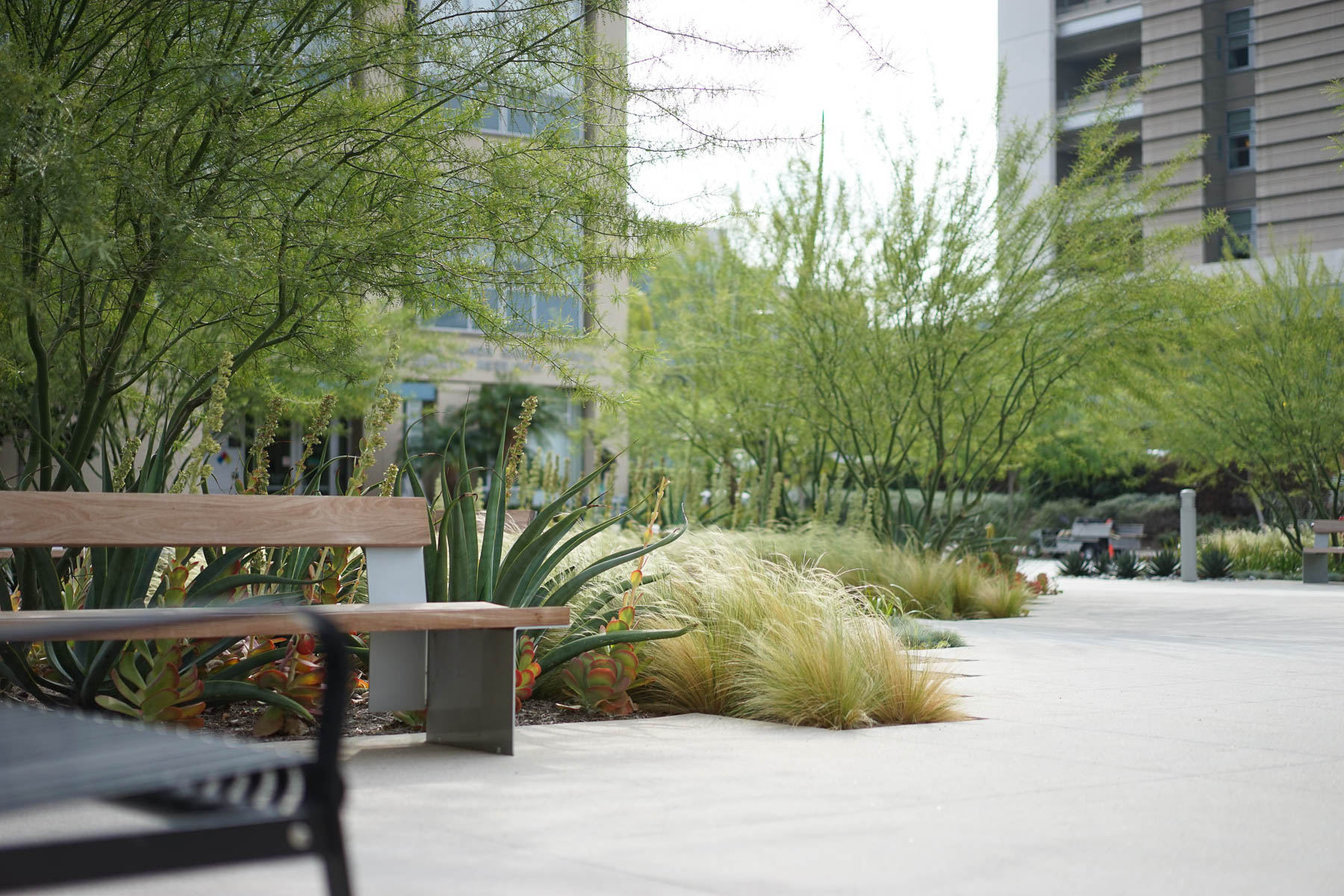 Healthcare - Pathway with bench