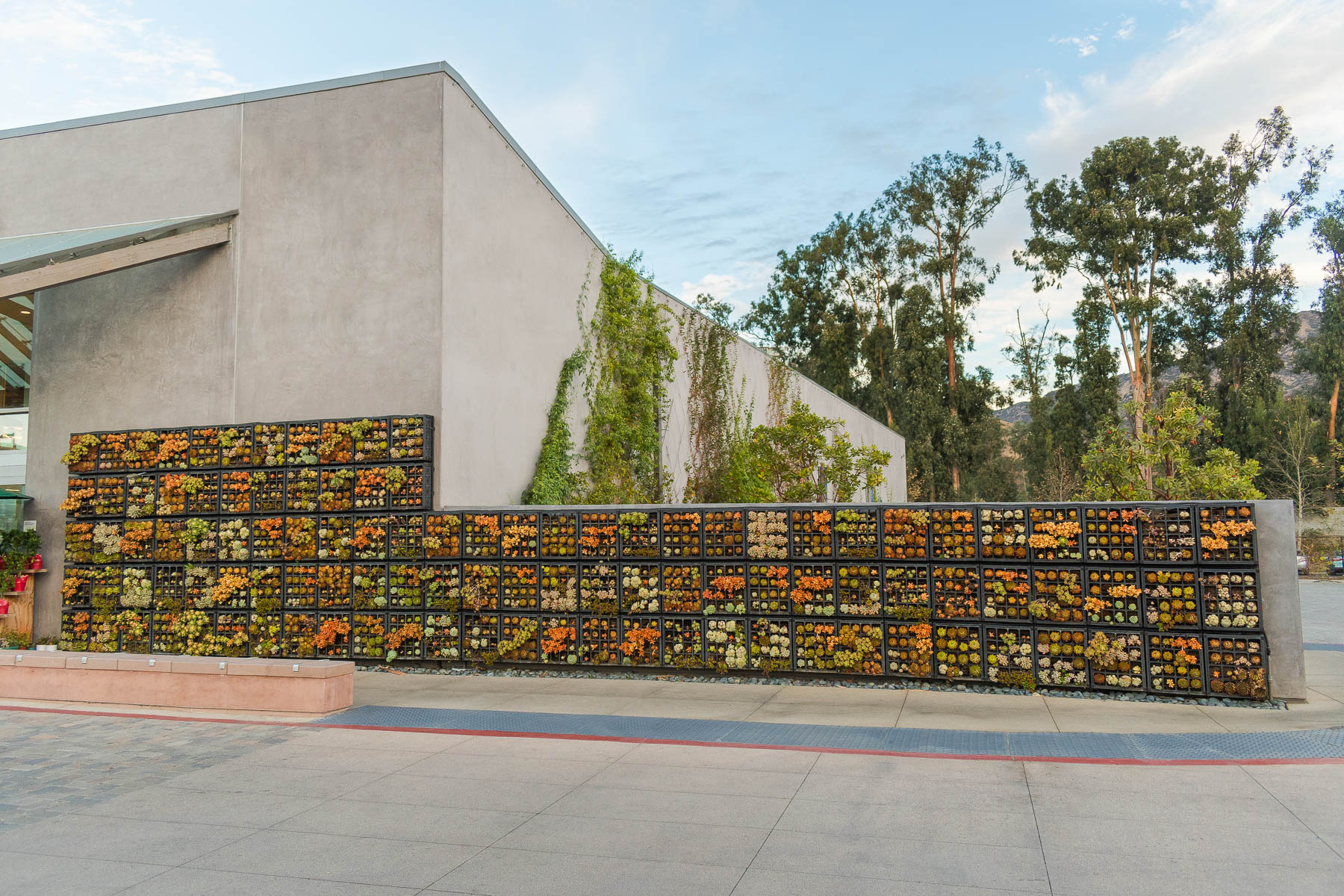 Retail space - foliage wall