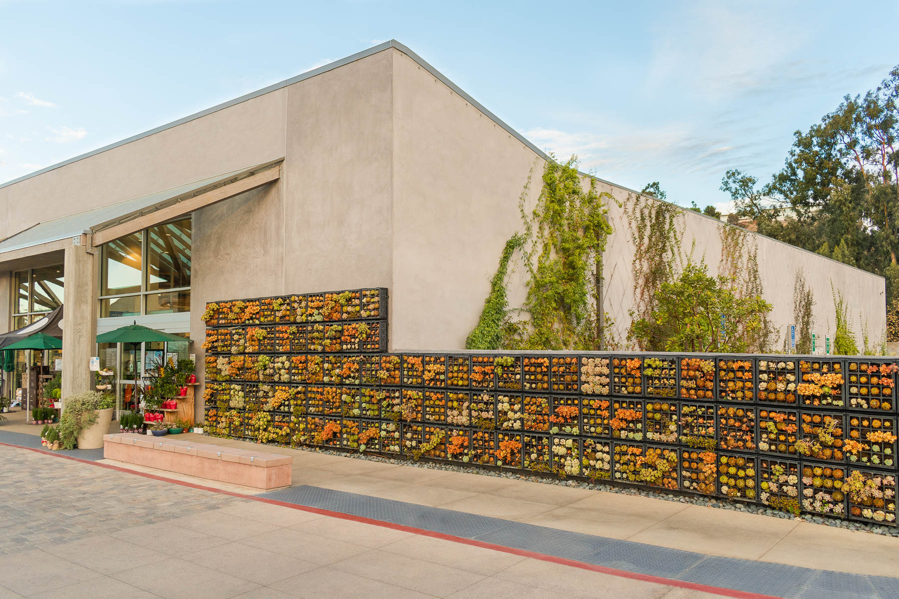 Retail space - foliage wall