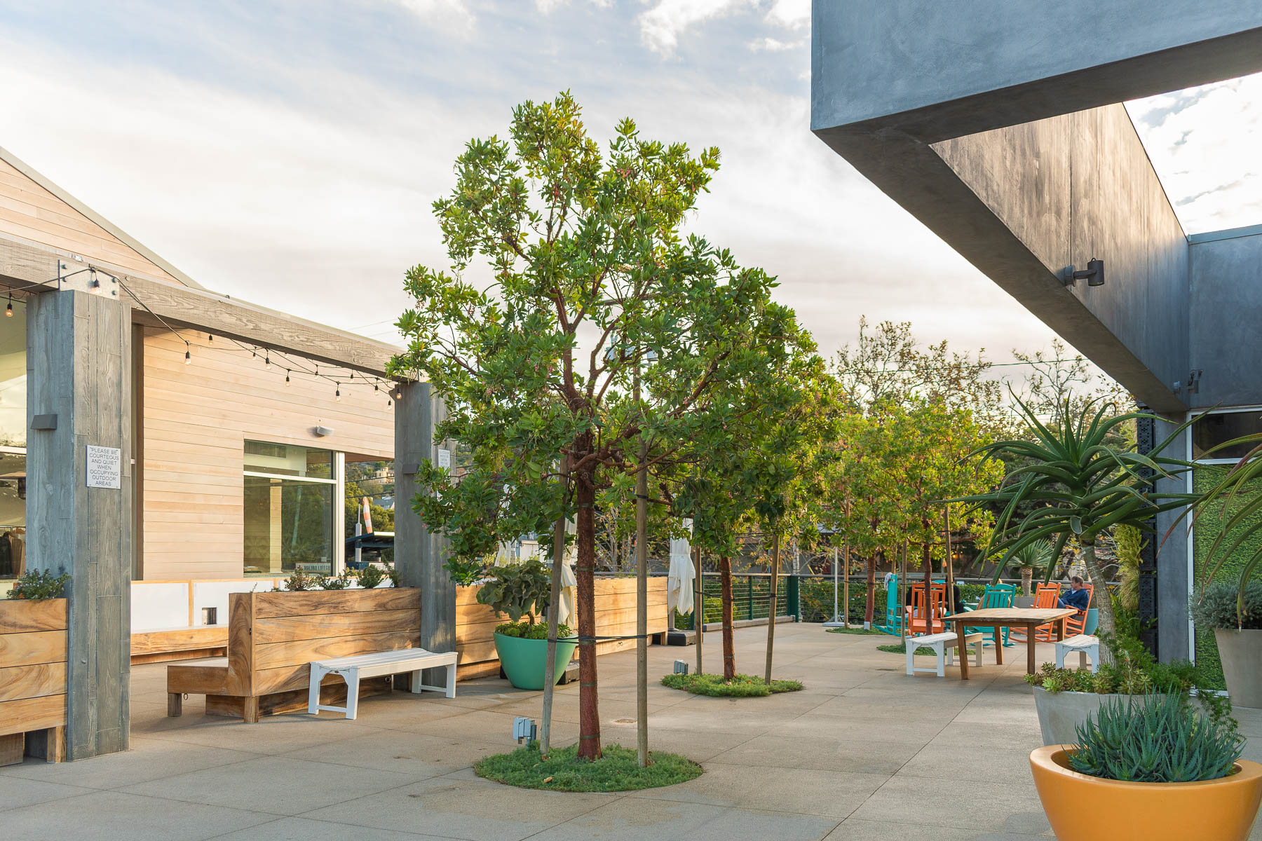 Retail space - trees and sitting area