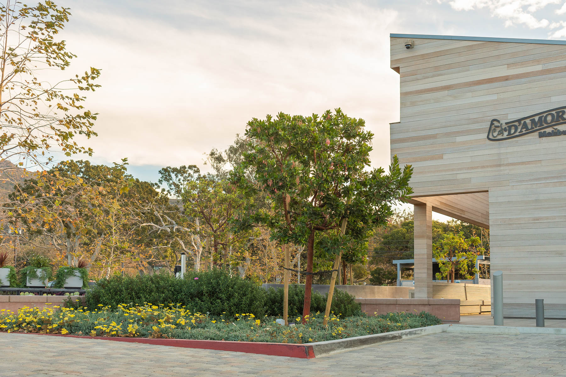 Retail space - building and pathway