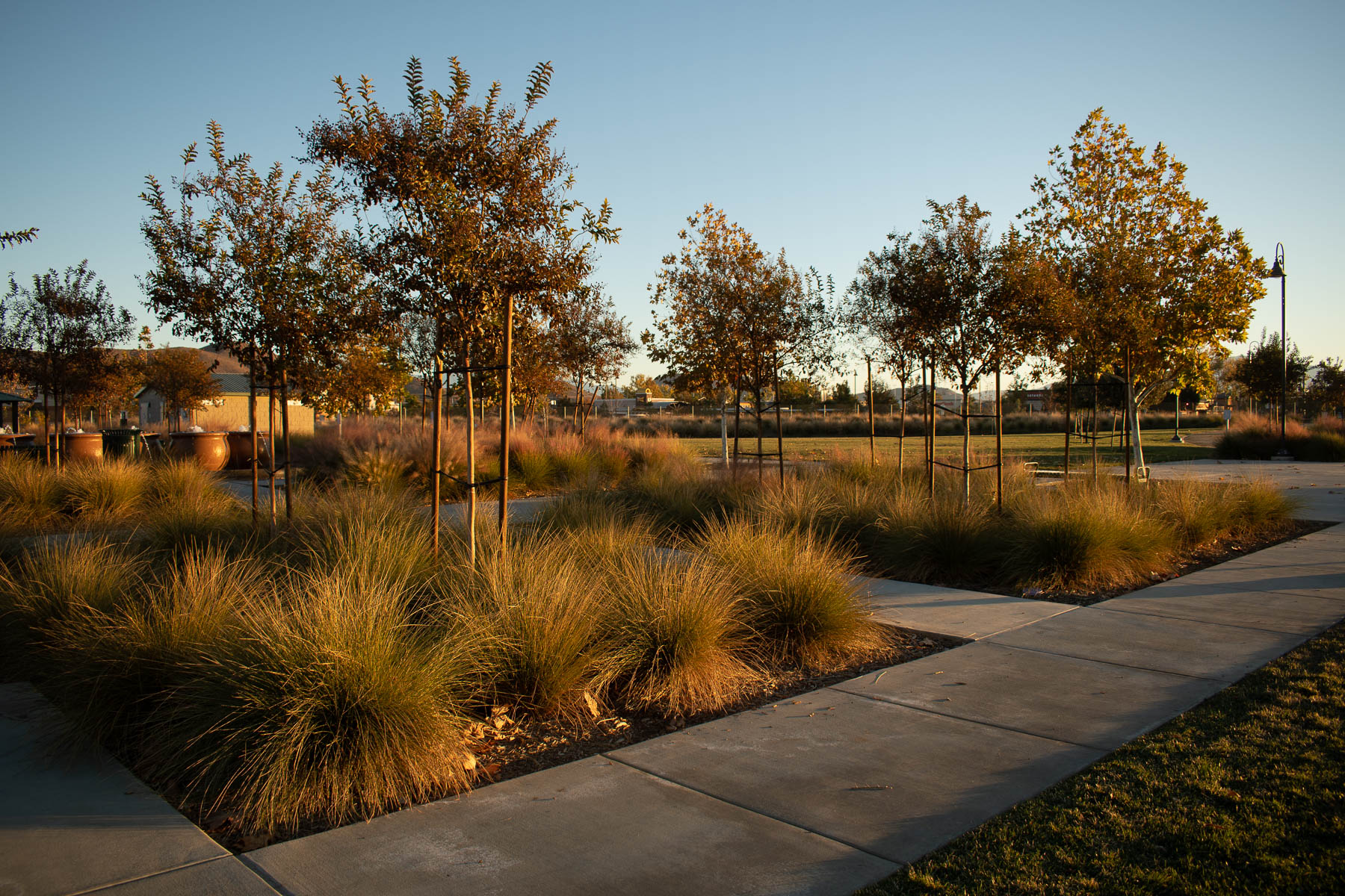 Multi Family Housing - Pathway