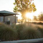 Multi Family Housing - Outdoor sitting area