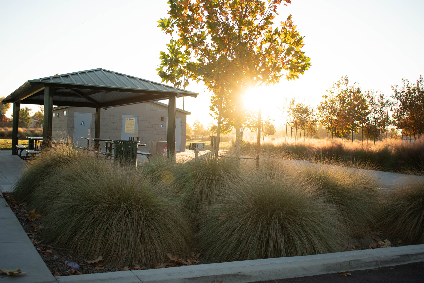 Multi Family Housing - Outdoor sitting area