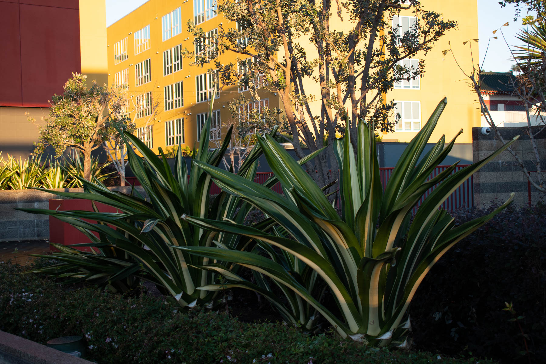 Retail space - plants