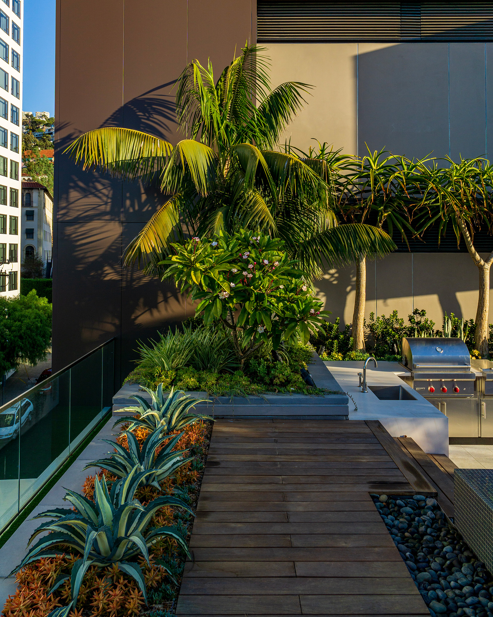 Retail Landscape Tropical Trees