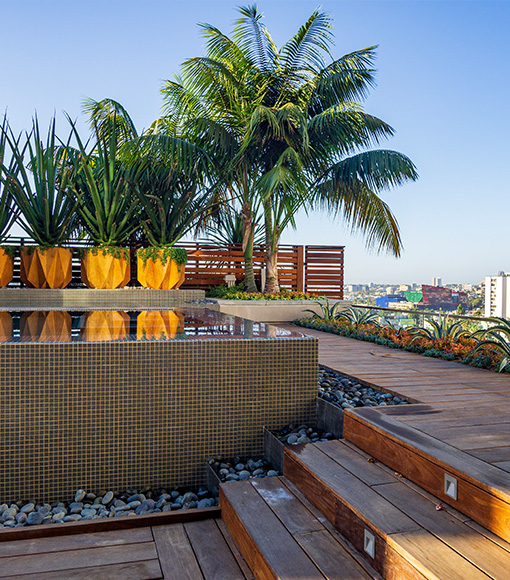 Servicesslide Roof Top Patio With Foliage