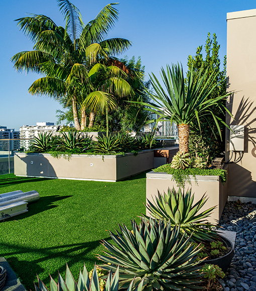 Servicesslide Roof Top Patio With Lawn And Foliage